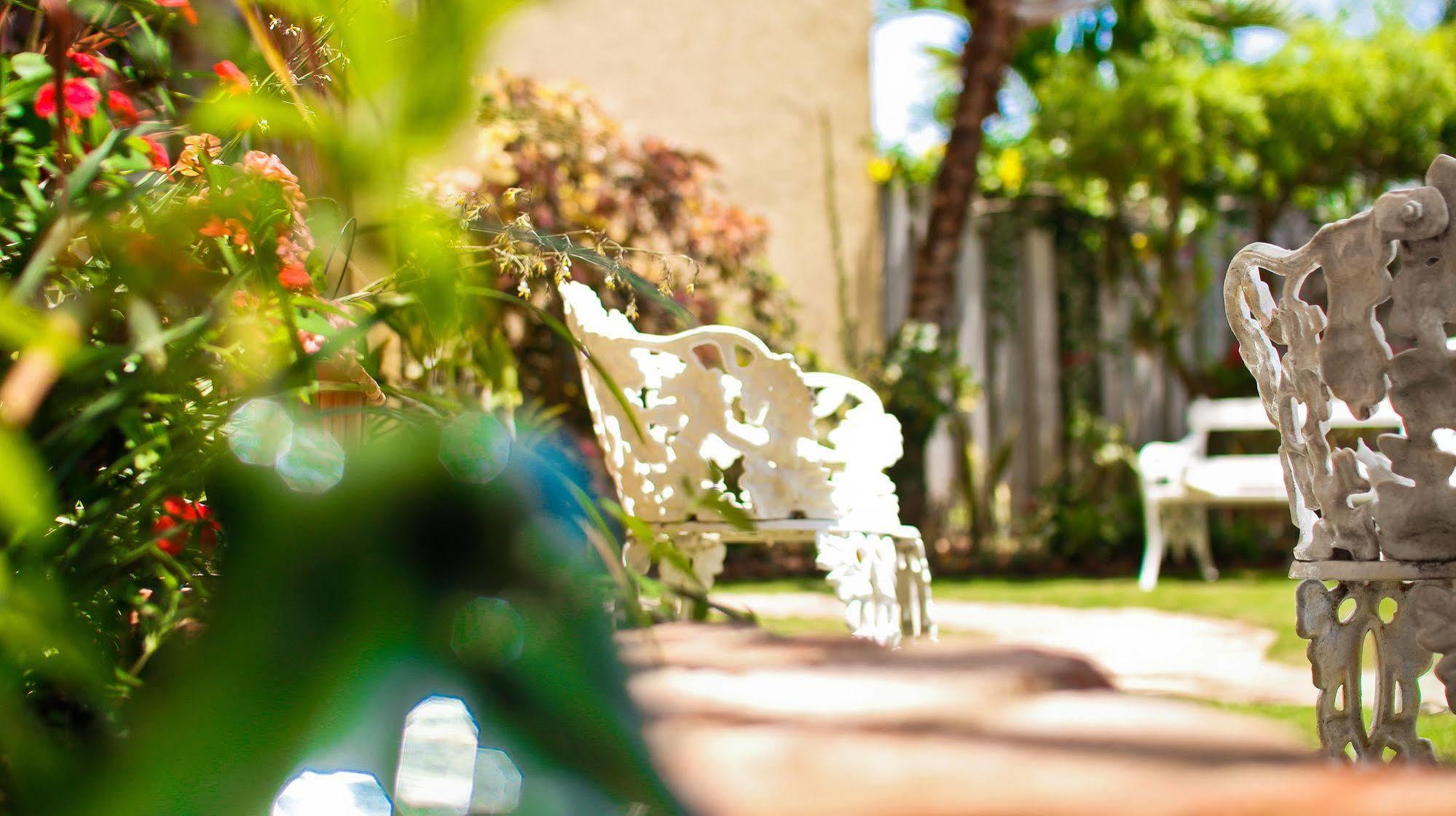 Cattleya Luxury Suites Kingston Buitenkant foto