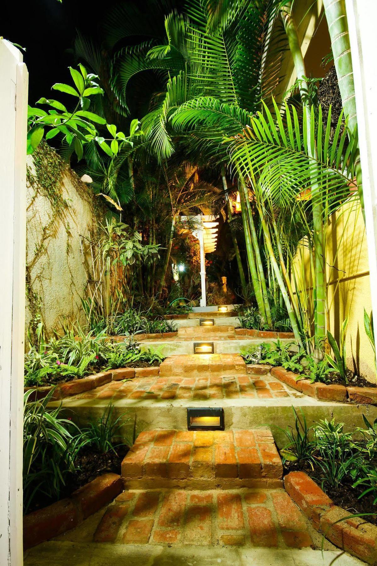 Cattleya Luxury Suites Kingston Buitenkant foto