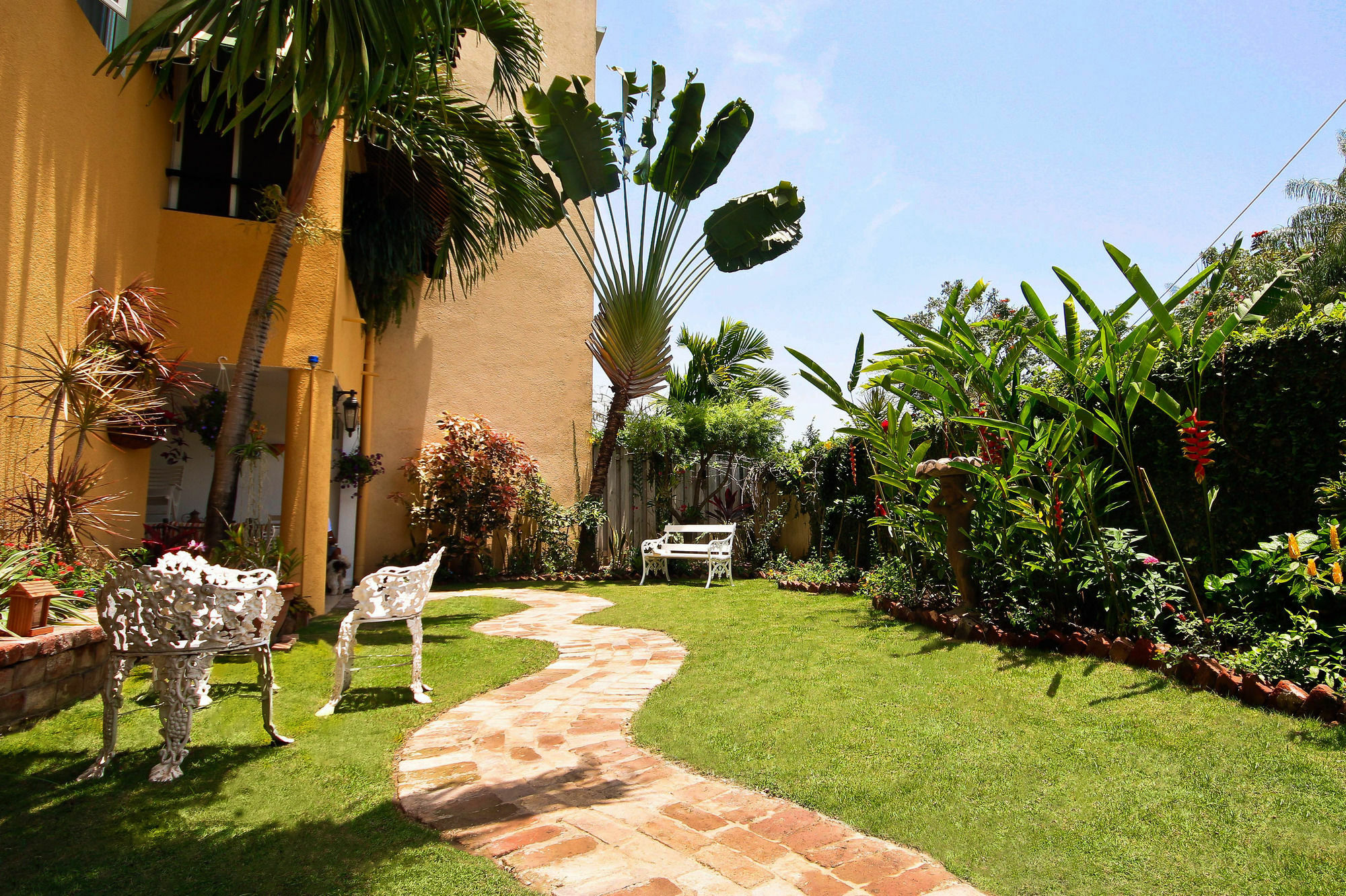 Cattleya Luxury Suites Kingston Buitenkant foto