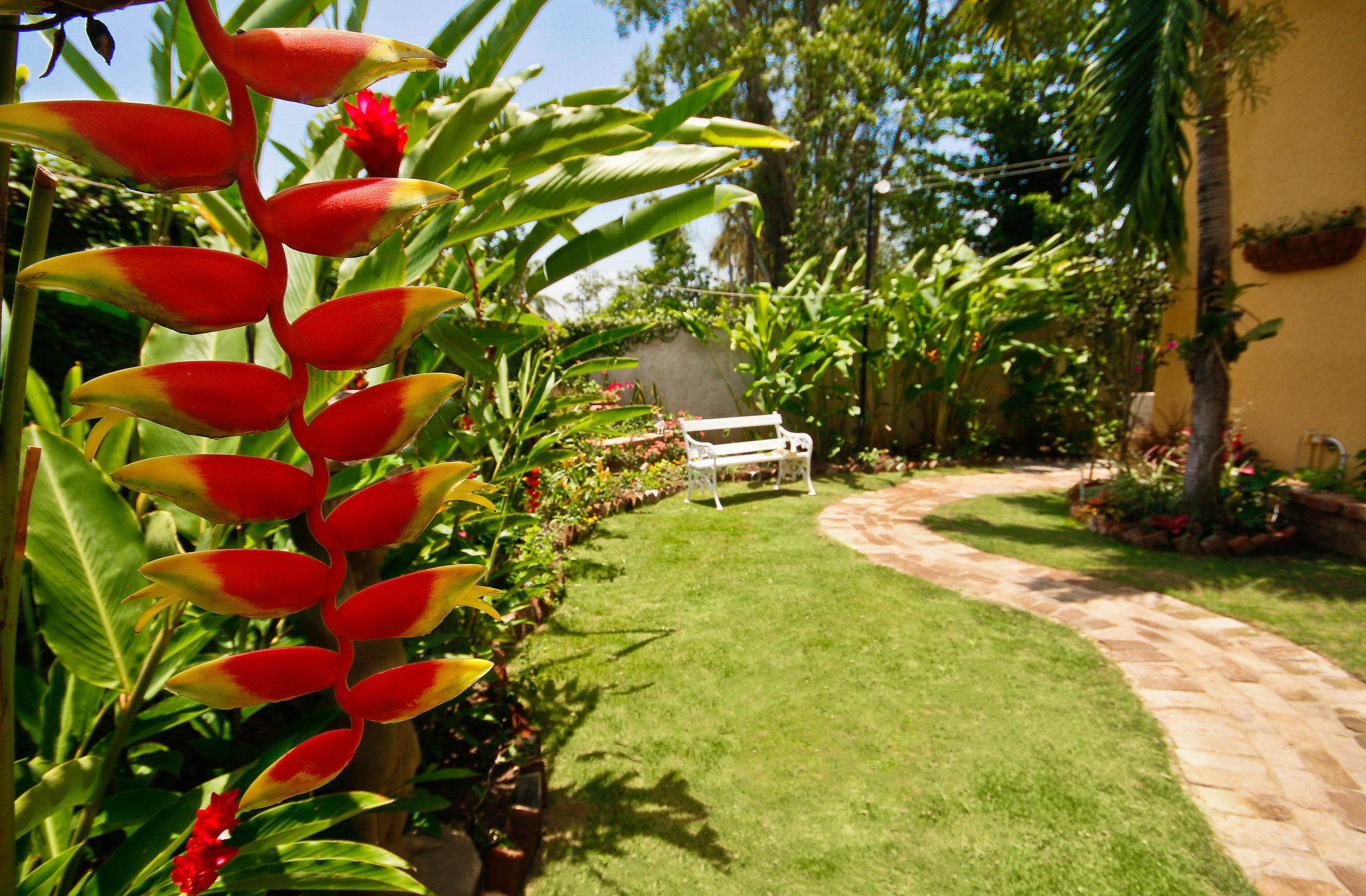 Cattleya Luxury Suites Kingston Buitenkant foto